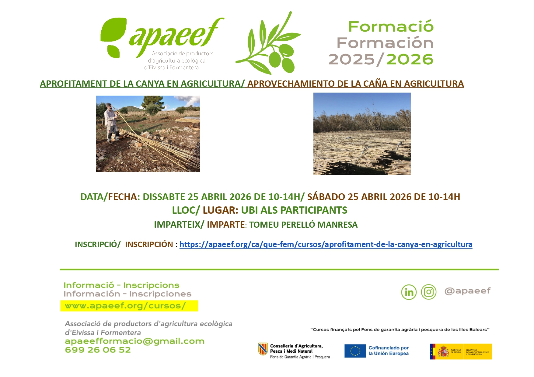 USE OF SUGARCANE IN AGRICULTURE