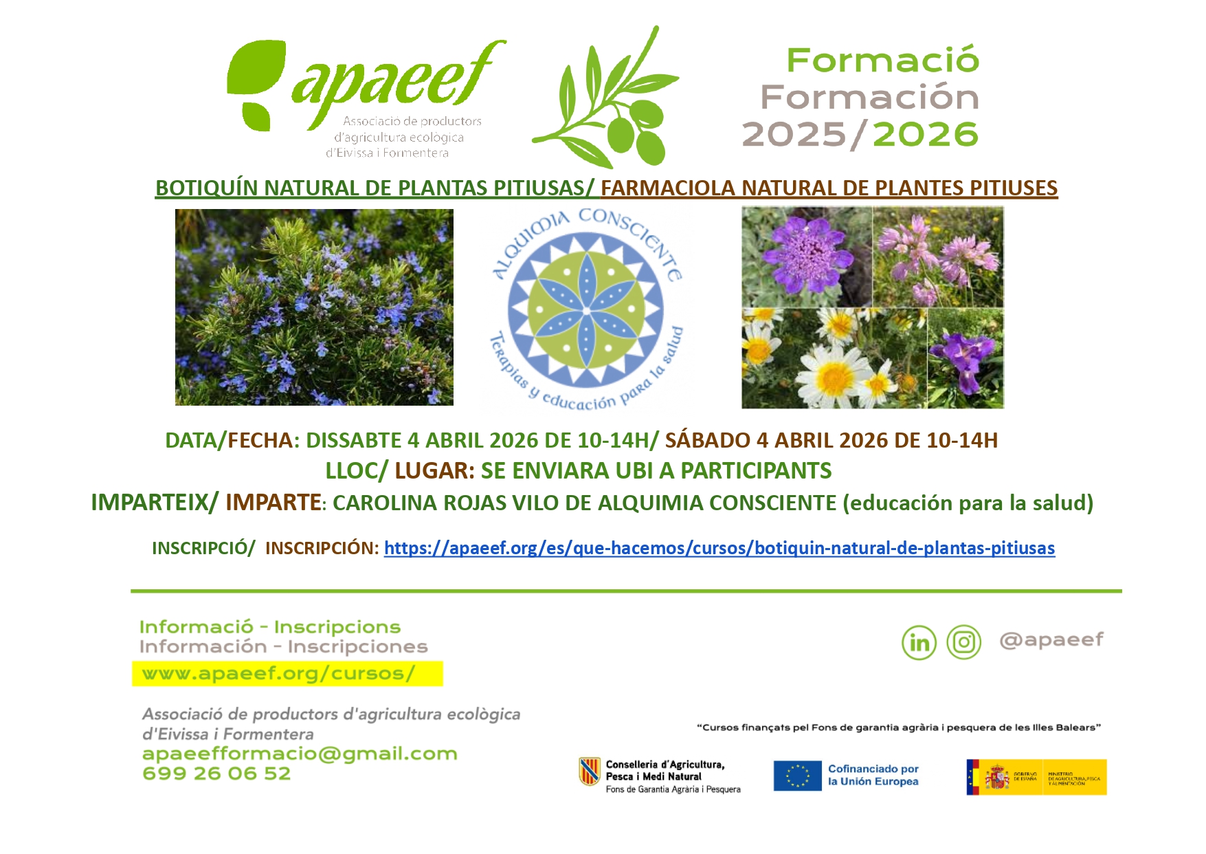 BOTIQUIN NATURAL DE PLANTAS PITIUSAS