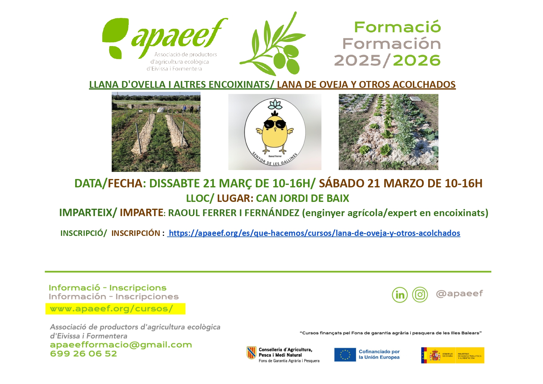 LANA DE OVEJA Y OTROS ACOLCHADOS