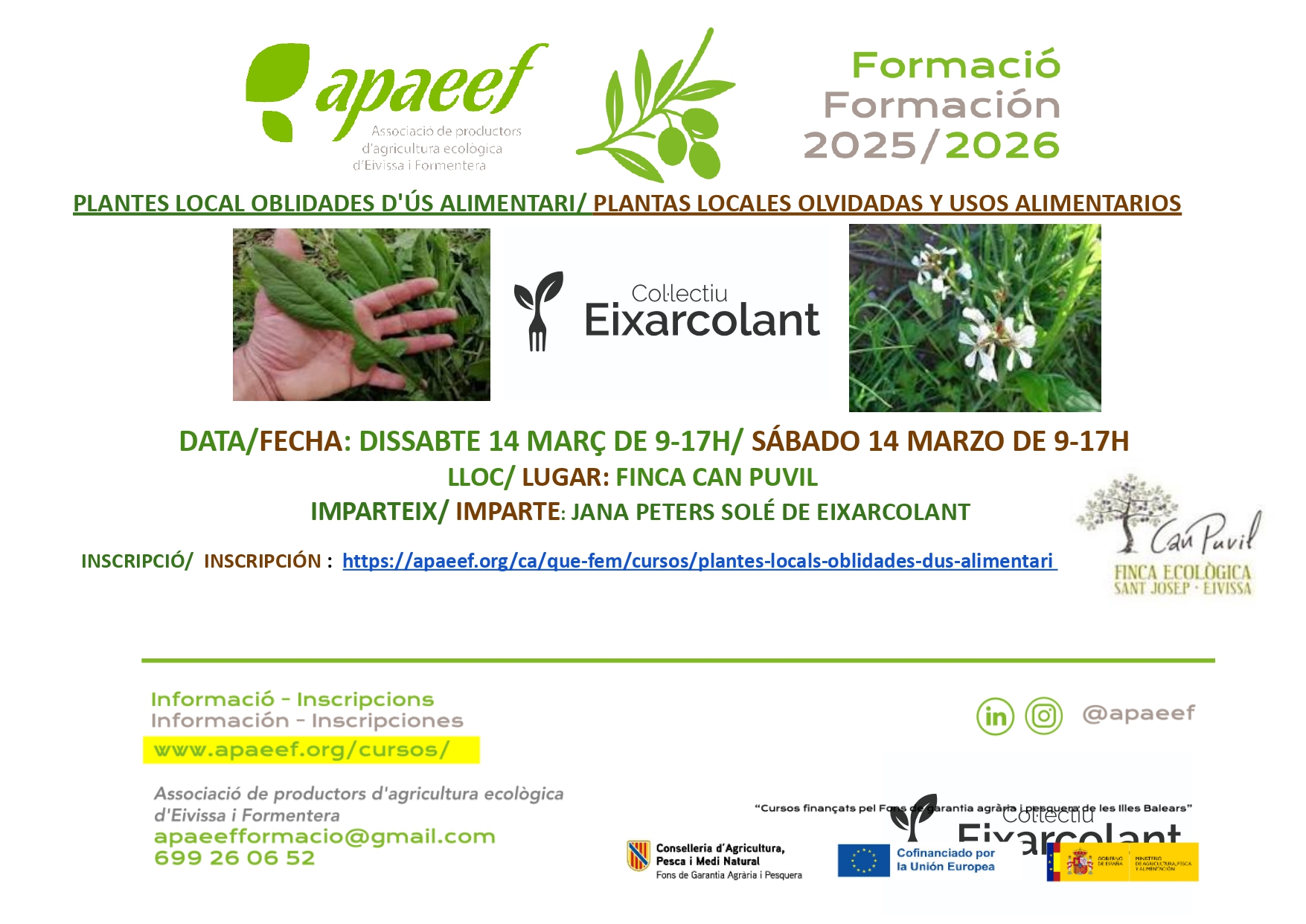 PLANTAS LOCALES OLVIDADAS DE USO ALIMENTARIO