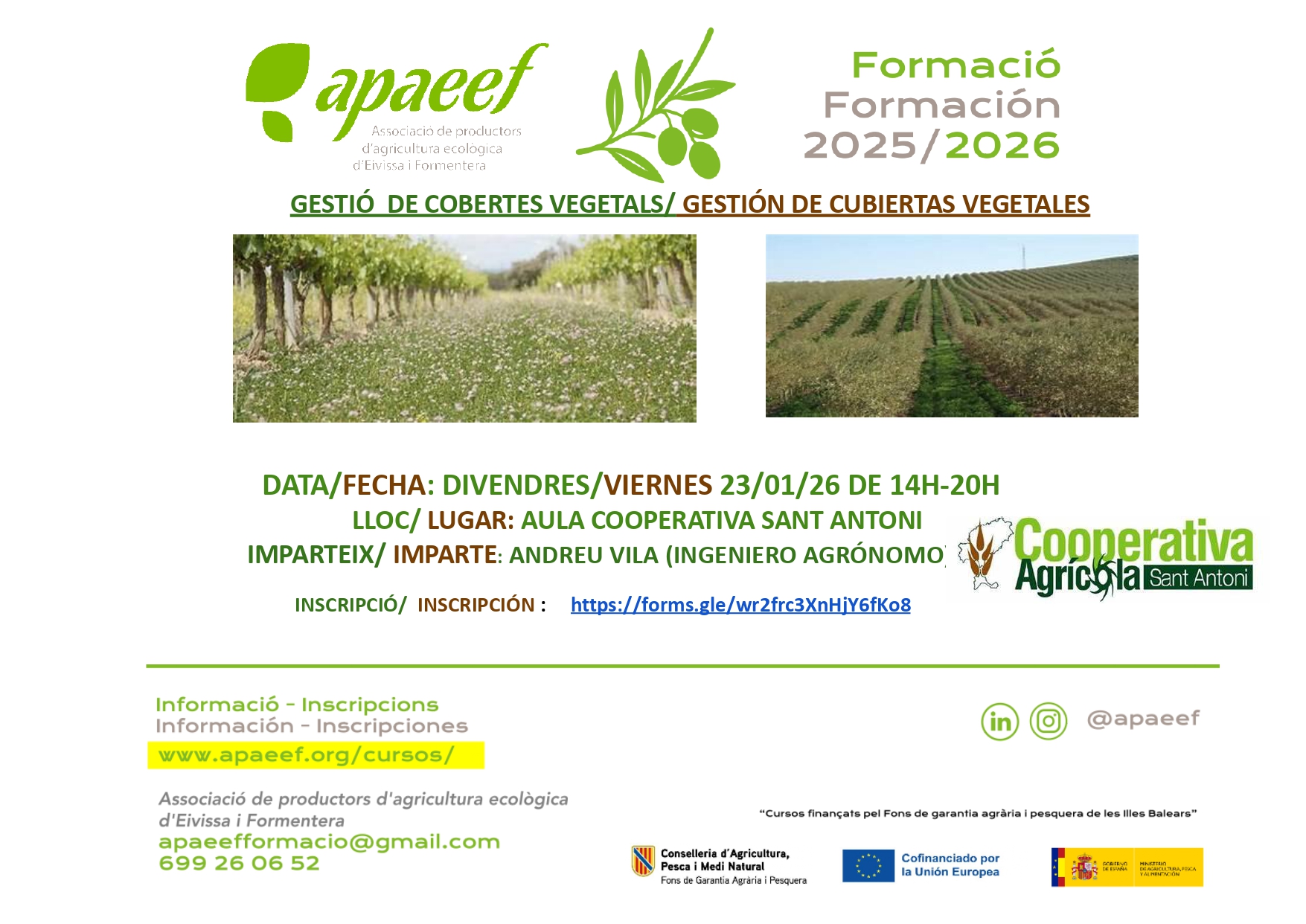 Gestión de cubiertas vegetales adecuadas a la sequía