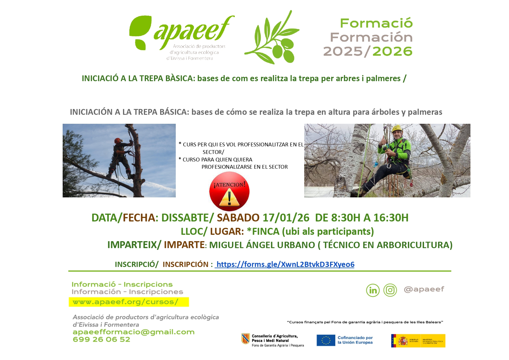 Hombre podando en altura