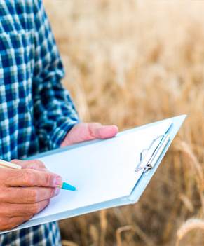 Líneas clave (Key lines)