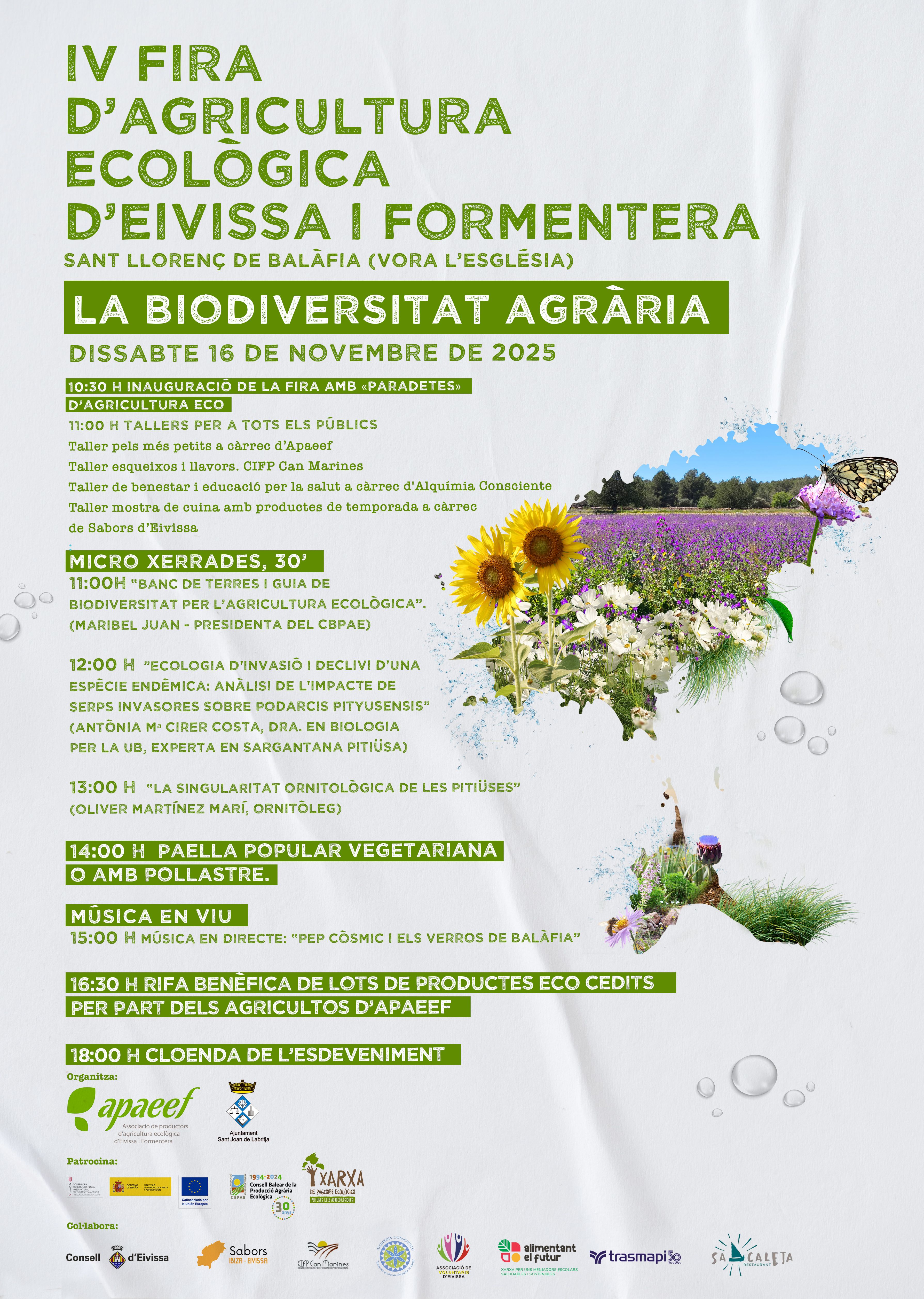 Cartell de la IV Fira Ecològica d'Eivissa, celebrada al novembre de 2025 a Sant Llorenç (Sant Joan de Labritja)